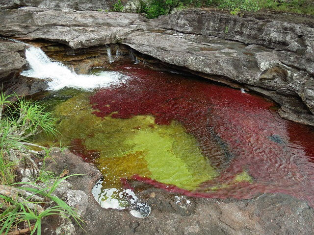 Caño Cristales tours